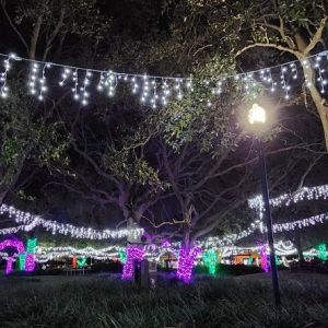 Largo Central Park Holiday Lights