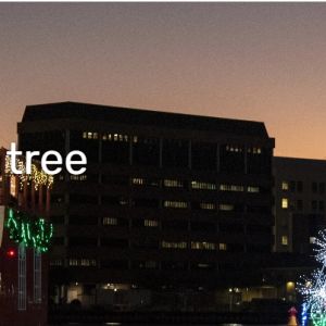 Tampa Riverwalk Holiday Tree Lighting