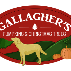 Gallagher's Pumpkins and Christmas Trees