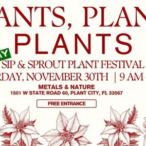 Metals and Nature Holiday Sip & Sprout Plant Festival