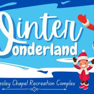 Wesley Chapel District Park Winter Wonderland