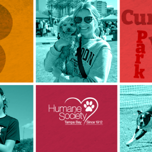 Bark in the Park at Curtis Hixon Park