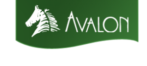 Avalon Stables