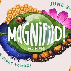 First Baptist Church of Tampa VBS - Magnified