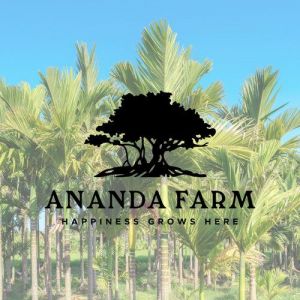 South - Terra Ceia - Ananda Farm