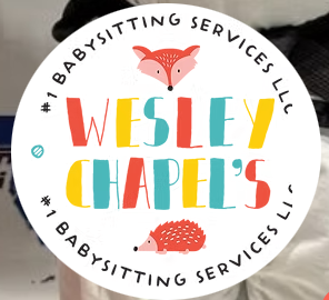 Wesley Chapel's #1 Babysitting Services, LLC