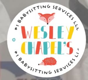 Wesley Chapel Sitting Services Summer Camp