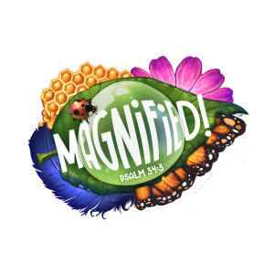 Holy Trinity Lutheran School VBS - Magnified