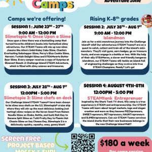 Challenge Island North Tampa Summer Camp