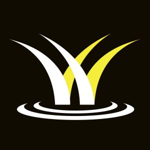 Watergrass Dental Care