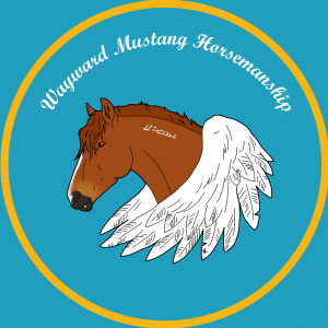 Wayward Mustang Horsemanship