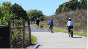 Upper Tampa Bay Trail