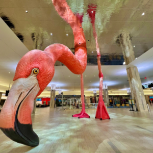 Tampa International Airport Public Art Program