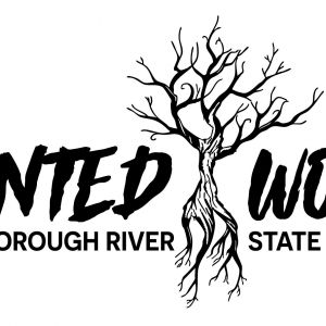 Hillsborough River State Park Haunted Woods