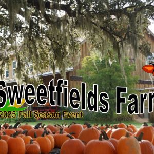 Sweetfields Farm Fall Festival, Corn Maze and Pumpkin Patch