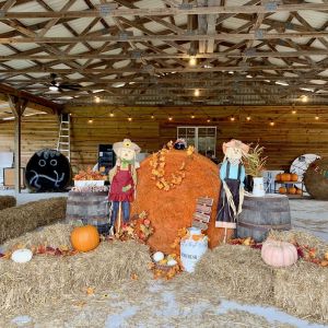 Funville Farm Fall Festival / Pumpkin Patch