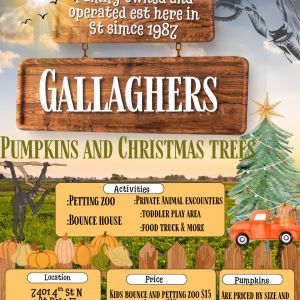 Gallagher's Pumpkins and Christmas Trees