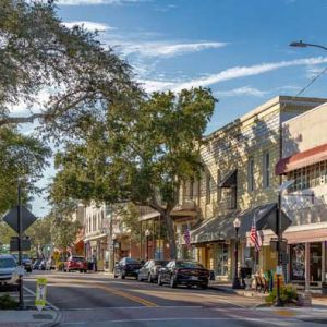 Tarpon Springs Thanksgiving Arts and Crafts Festival