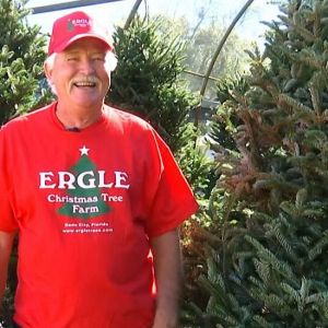 Ergle Christmas Tree Farm