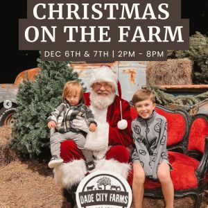 Dade City Farms Christmas Market