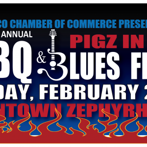 Pigz in Z'Hills BBQ and Blues Fest