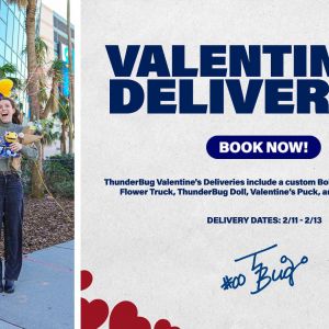 ThunderBug Valentine's Deliveries