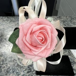 Land O' Lakes Recreation Complex Father/Daughter Dance