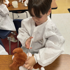 Little Medical School - Tampa Bay Summer Camps