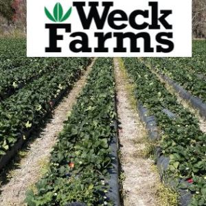 Weck Farms