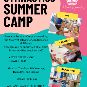 Premier Gymnastics Summer Camp