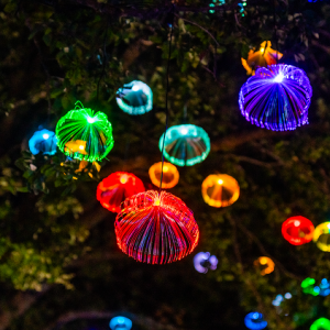 Adventure Island AquaGlow