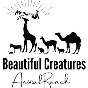 North - Dunnellon - Beautiful Creatures Animal Ranch
