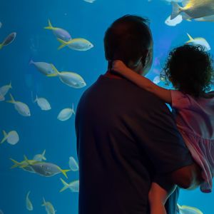 Florida Aquarium Father's Day Promotion