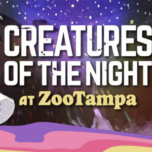 ZooTampa at Lowry Park Creatures of the Night