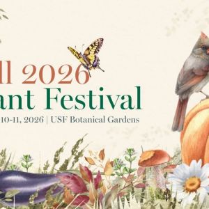 USF Botanical Gardens Fall Plant Festival