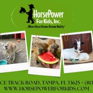 HorsePower for Kids Fall Fest Fundraiser