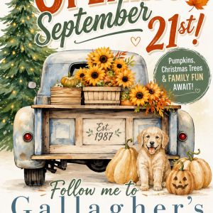 Gallagher's Pumpkins and Christmas Trees