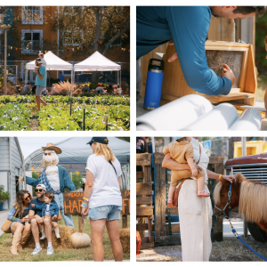 Meacham Urban Farm Harvest Fest
