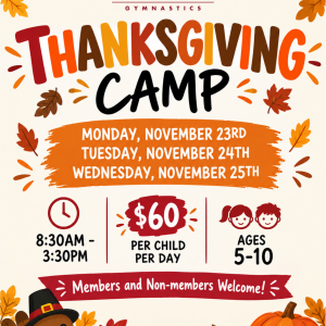Premier Gymnastics Thanksgiving Camp