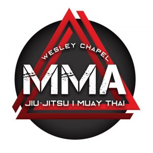Wesley Chapel MMA - Jiu Jitsu- Muay Thai