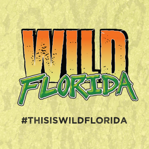 Central Florida - Wild Florida Drive-thru Safari Park