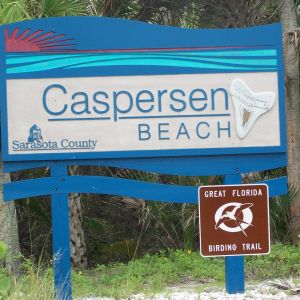 Sarasota/Bradenton - Caspersen Beach
