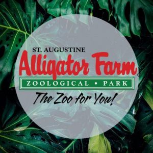 St Augustine - Alligator Farm Zoological Park