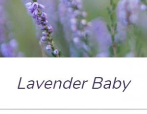 Lavender Baby